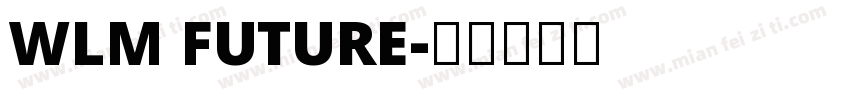 WLM Future字体转换